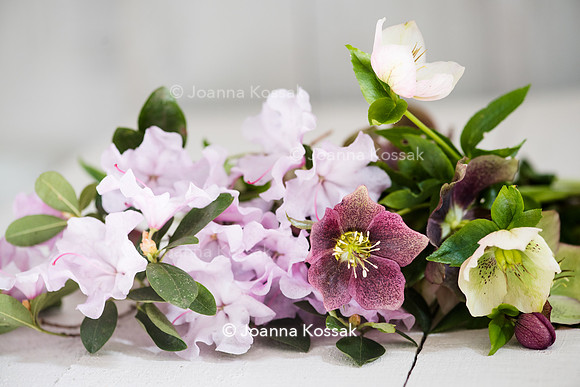 Spring flower bouquet with helleborus and Rhododendron on white wooden table.
