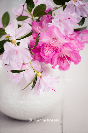 Pink spring flower arrangement with Rhododendrons in white vase.