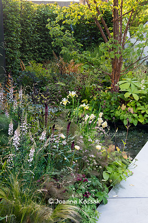 The Jeremy Vine Texture Garden