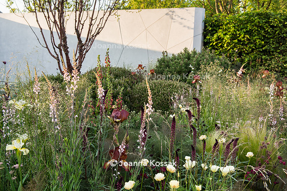 The Jeremy Vine Texture Garden