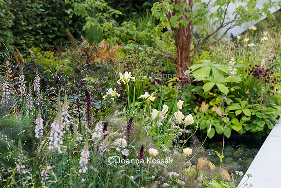 The Jeremy Vine Texture Garden