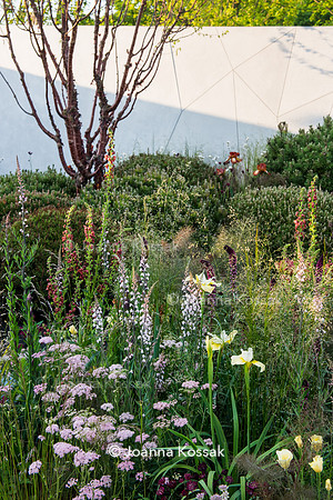 The Jeremy Vine Texture Garden