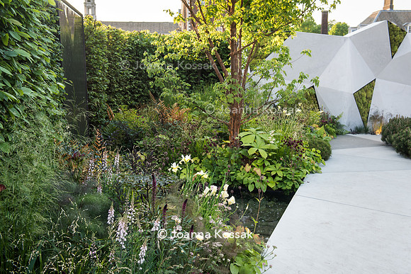 The Jeremy Vine Texture Garden