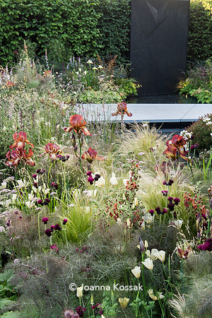 The Jeremy Vine Texture Garden