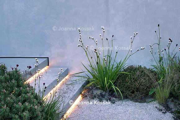 The Jeremy Vine Texture Garden