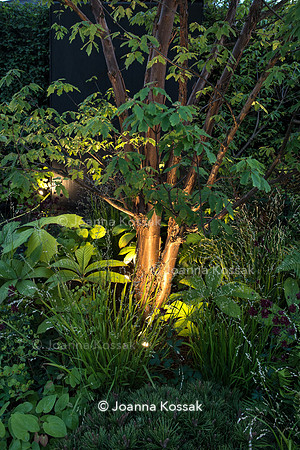 The Jeremy Vine Texture Garden