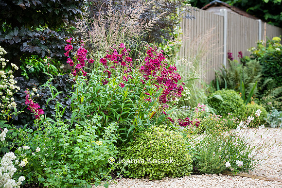 Wimbledon Garden. Designed by Tony Woods/ Garden Club London, All Photos © Joanna Kossak
