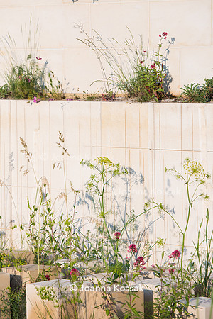 M&G, Chelsea Flower Show 2017