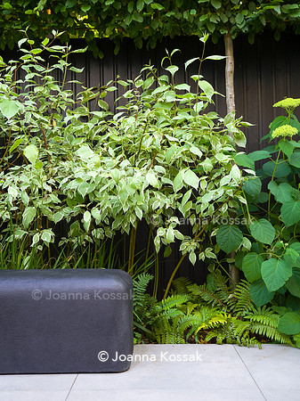 Edge Hill garden. Designer Tom Howard. All Photos © Joanna Kossak