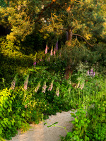 Stroke Association’s Garden for Recovery, Designer Miria Harris