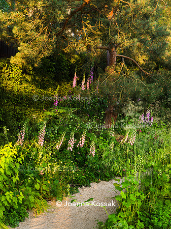 Stroke Association’s Garden for Recovery, Designer Miria Harris