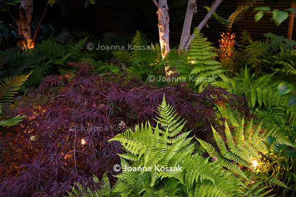 Roehampton garden, Designer Formosa Landscapes/ Neal Harrington All Photos © Joanna Kossak