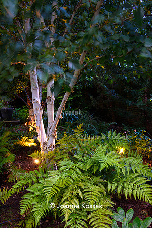 Roehampton garden, Designer Formosa Landscapes/ Neal Harrington All Photos © Joanna Kossak