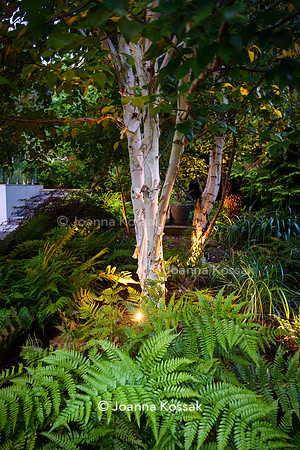 Roehampton garden, Designer Formosa Landscapes/ Neal Harrington All Photos © Joanna Kossak