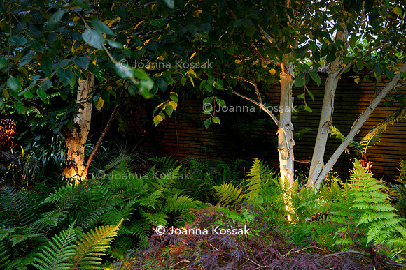 Roehampton garden, Designer Formosa Landscapes/ Neal Harrington All Photos © Joanna Kossak