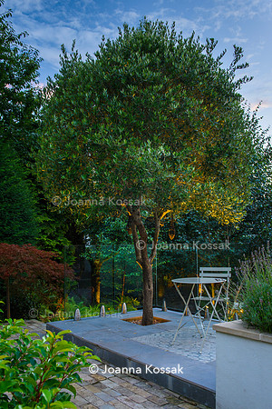 Roehampton garden, Designer Formosa Landscapes/ Neal Harrington All Photos © Joanna Kossak