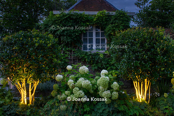 Roehampton garden, Designer Formosa Landscapes/ Neal Harrington All Photos © Joanna Kossak