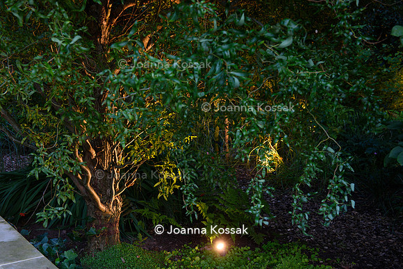 Roehampton garden, Designer Formosa Landscapes/ Neal Harrington All Photos © Joanna Kossak