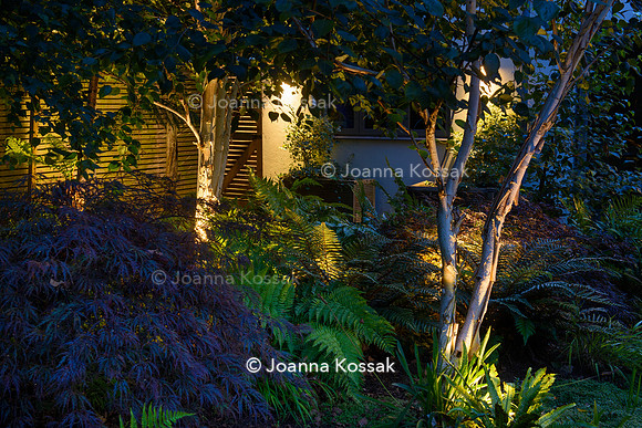 Roehampton garden, Designer Formosa Landscapes/ Neal Harrington All Photos © Joanna Kossak