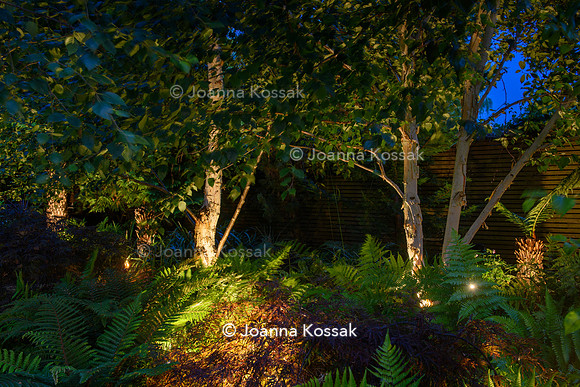 Roehampton garden, Designer Formosa Landscapes/ Neal Harrington All Photos © Joanna Kossak