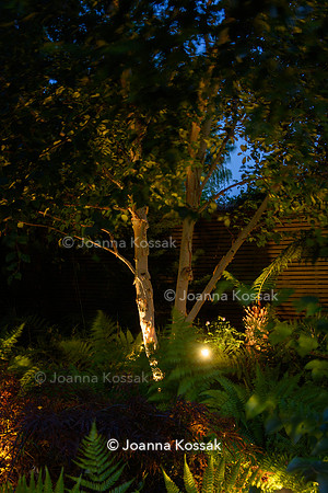 Roehampton garden, Designer Formosa Landscapes/ Neal Harrington All Photos © Joanna Kossak