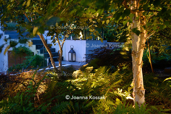 Roehampton garden, Designer Formosa Landscapes/ Neal Harrington All Photos © Joanna Kossak