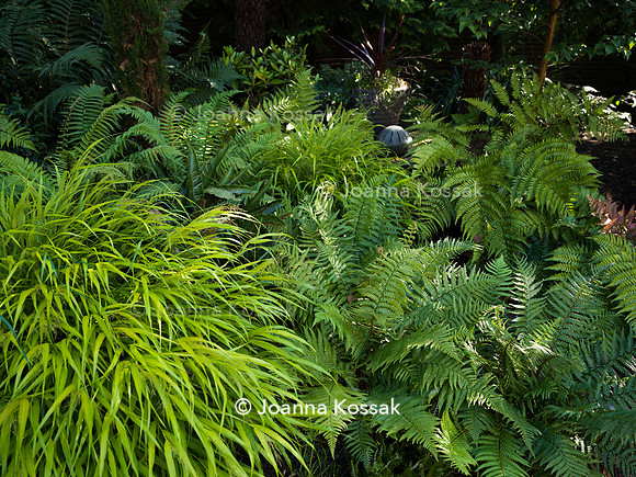 Roehampton garden, Designer Formosa Landscapes/ Neal Harrington All Photos © Joanna Kossak
