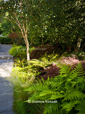 Roehampton garden, Designer Formosa Landscapes/ Neal Harrington All Photos © Joanna Kossak