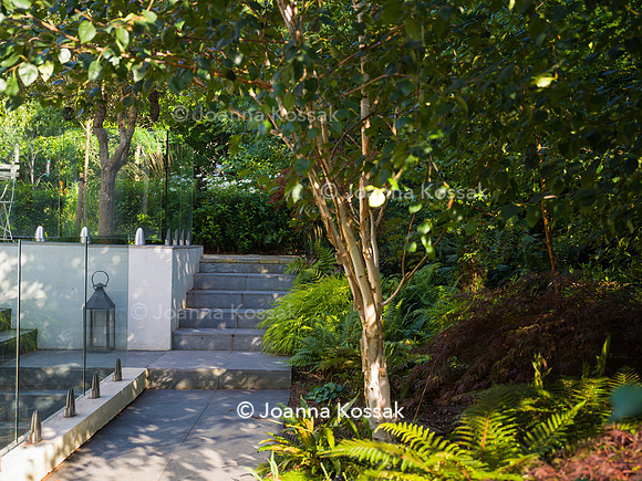 Roehampton garden, Designer Formosa Landscapes/ Neal Harrington All Photos © Joanna Kossak