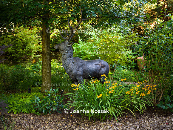 Roehampton garden, Designer Formosa Landscapes/ Neal Harrington All Photos © Joanna Kossak