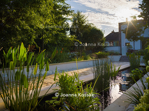 Roehampton garden, Designer Formosa Landscapes/ Neal Harrington All Photos © Joanna Kossak