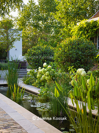 Roehampton garden, Designer Formosa Landscapes/ Neal Harrington All Photos © Joanna Kossak