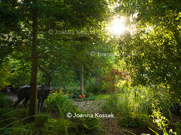 Roehampton garden, Designer Formosa Landscapes/ Neal Harrington All Photos © Joanna Kossak
