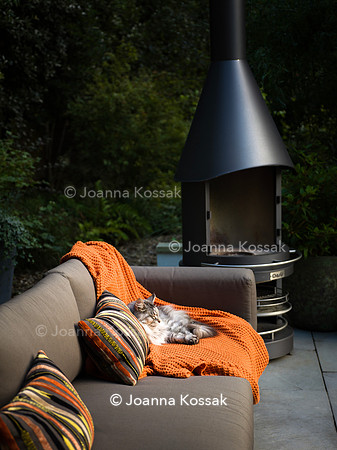 Roehampton garden, Designer Formosa Landscapes/ Neal Harrington All Photos © Joanna Kossak