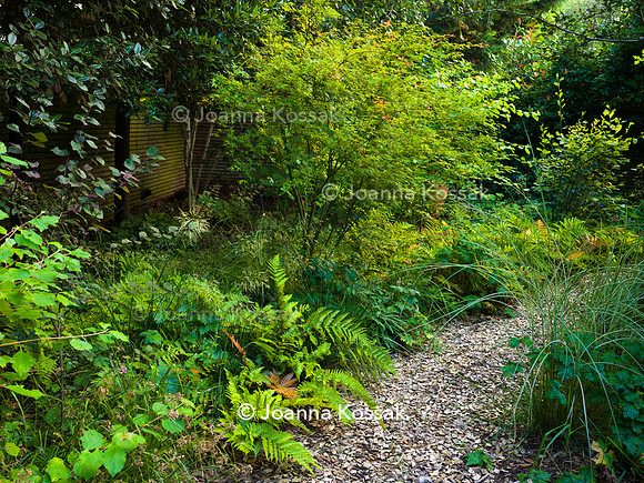 Roehampton garden, Designer Formosa Landscapes/ Neal Harrington All Photos © Joanna Kossak