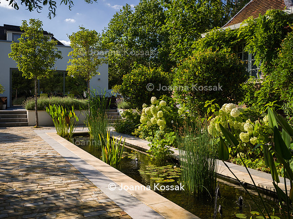 Roehampton garden, Designer Formosa Landscapes/ Neal Harrington All Photos © Joanna Kossak