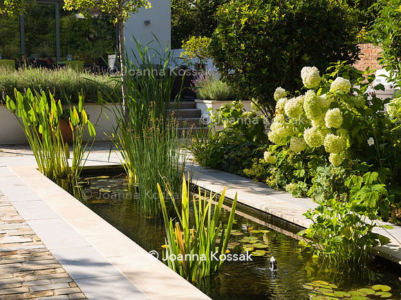 Roehampton garden, Designer Formosa Landscapes/ Neal Harrington All Photos © Joanna Kossak