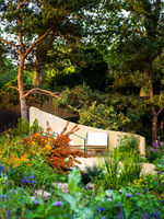Stroke Association’s Garden for Recovery, Designer Miria Harris