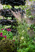 Wimbledon Garden. Designed by Tony Woods/ Garden Club London, All Photos © Joanna Kossak