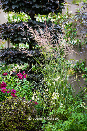 Wimbledon Garden. Designed by Tony Woods/ Garden Club London, All Photos © Joanna Kossak