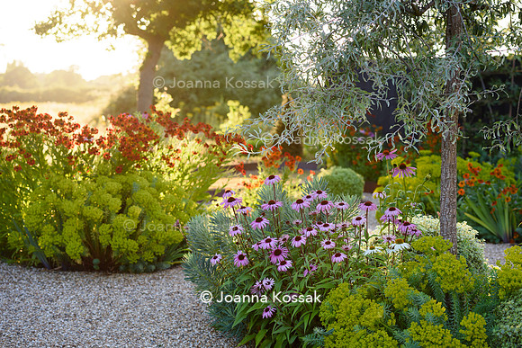 Weston Green/ Esher. Designed by Maitanne Hunt, All Photos © Joanna Kossak