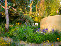 Stroke Association’s Garden for Recovery, Designer Miria Harris
