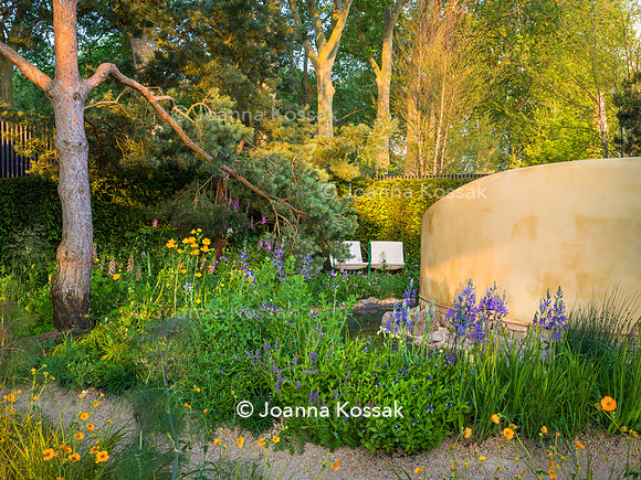 Stroke Association’s Garden for Recovery, Designer Miria Harris