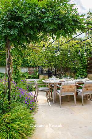 Melody Rd garden. Designed by Harrington Potter/ Chris Harrington All Photos © Joanna Kossak