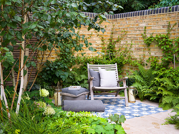 Melody Rd garden. Designed by Harrington Potter/ Chris Harrington All Photos © Joanna Kossak
