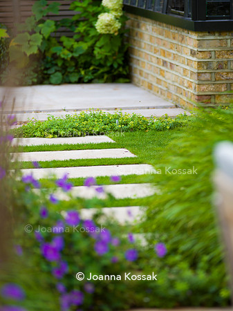 Melody Rd garden. Designed by Harrington Potter/ Chris Harrington All Photos © Joanna Kossak
