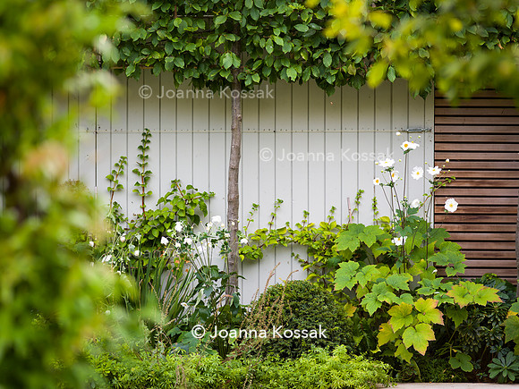 Melody Rd garden. Designed by Harrington Potter/ Chris Harrington All Photos © Joanna Kossak