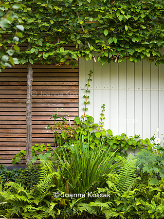 Melody Rd garden. Designed by Harrington Potter/ Chris Harrington All Photos © Joanna Kossak