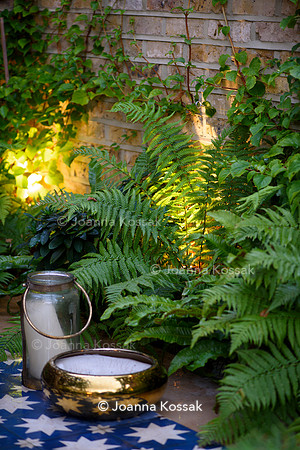 Melody Rd garden. Designed by Harrington Potter/ Chris Harrington All Photos © Joanna Kossak