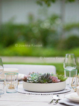 Melody Rd garden. Designed by Harrington Potter/ Chris Harrington All Photos © Joanna Kossak